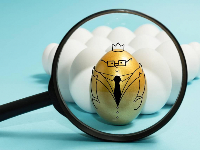 不是0052、00881，主題型ETF績效誰最猛？這檔殖利率破12％、股價漲贏台積電...達人揭2026布局關鍵